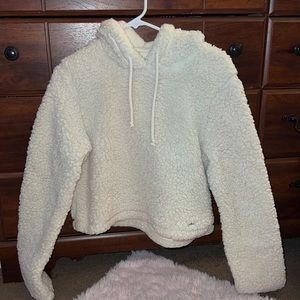 Cropped SHERPA